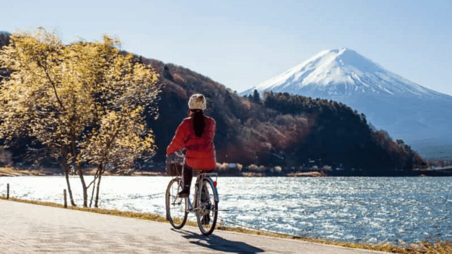 From Tokyo:Mount Fuji private day tour with English driver - Arakura Sengen Shrine and the five-storied pagoda views