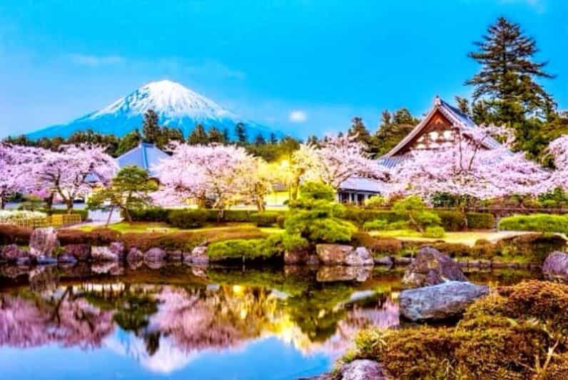 From Tokyo:private Mount Fuji tour with guide - Key reasons this private Mount Fuji day trip feels good