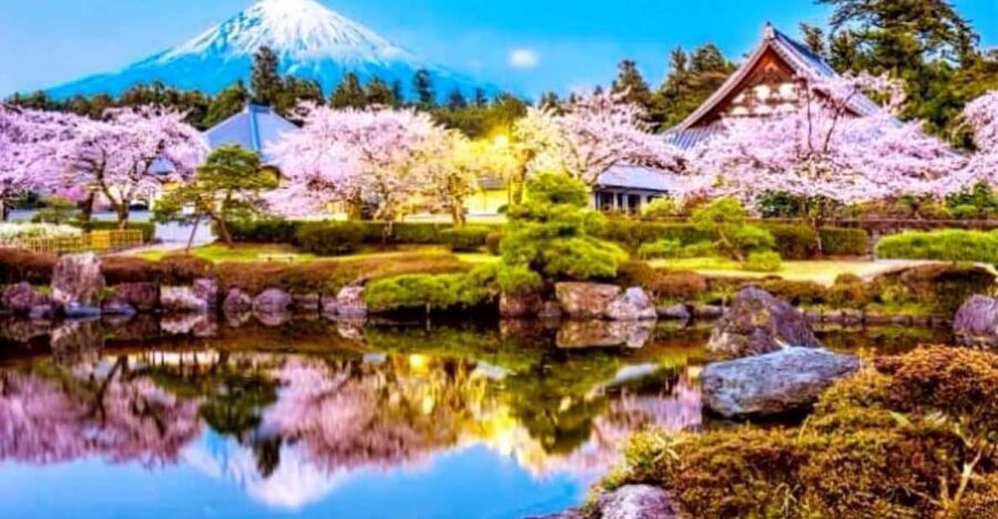 From Tokyo:private Mount Fuji tour with guide - How the private charter works: comfort, flexibility, and real pacing