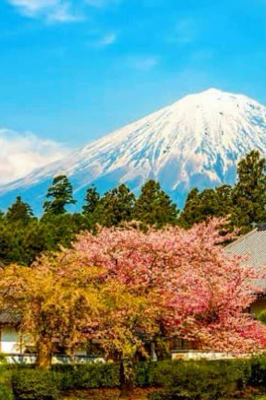 From Tokyo:private Mount Fuji tour with guide - Oshino Hakkai: Fuji water you can actually see