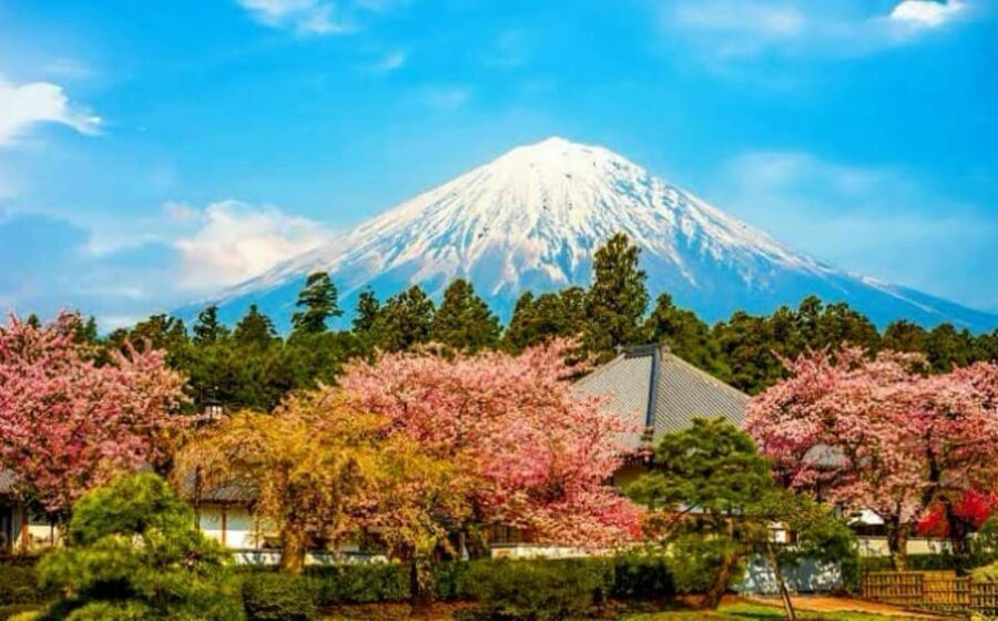 From Tokyo:private Mount Fuji tour with guide - Chureito Pagoda: the classic Fuji postcard