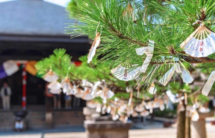 FromOsaka/Kyoto:Hiroshima & Miyajima Private Tour with Lunch - Itsukushima Shrine on Miyajima: how to use your hour of free time