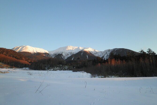 Frozen fall trekking - Key Highlights You’ll Feel From the First Step