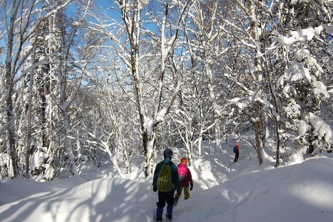 Frozen fall trekking - Getting There: Where Gero and Hida-Osaka Fit on Your Central Japan Plan