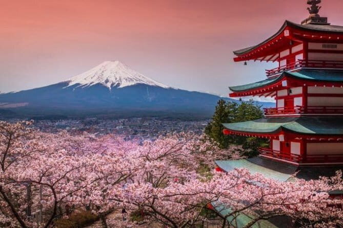 Fuji and Lake Kawaguchi Tour - Key Things That Make This Fuji Tour Work Well