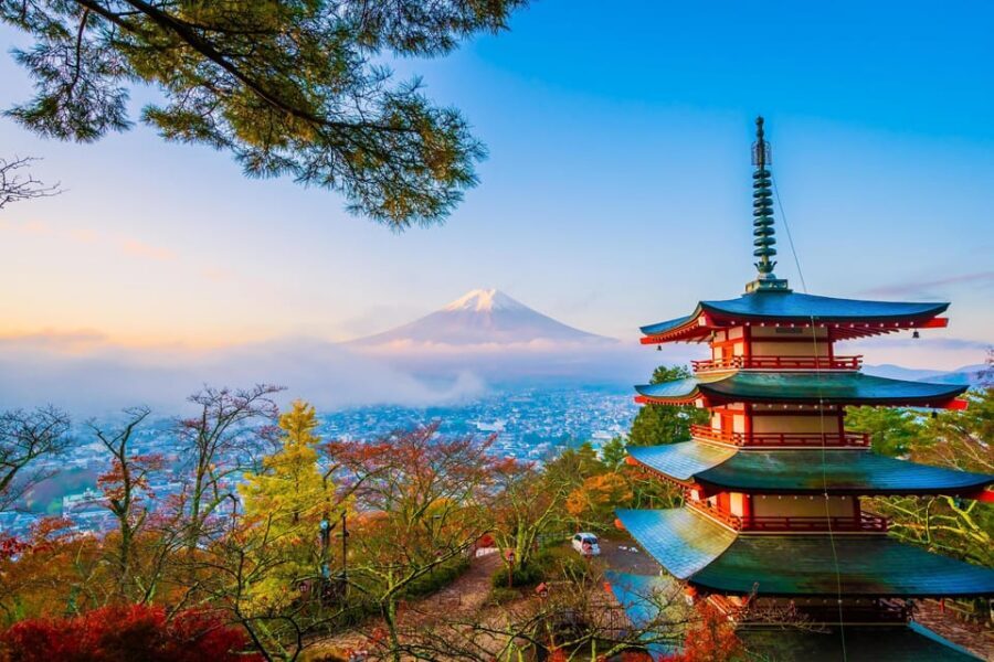 Fuji/Hakone Private Tour, English speaking guide, Photograph - Key things you’ll notice right away
