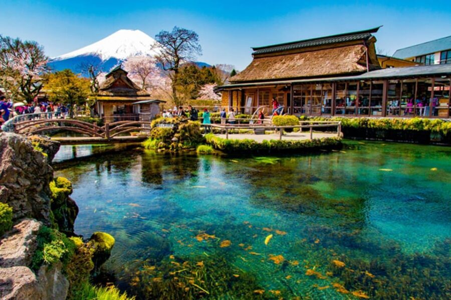Fuji/Hakone Private Tour, English speaking guide, Photograph - Getting out of Tokyo: the calm starts early, the driving is real