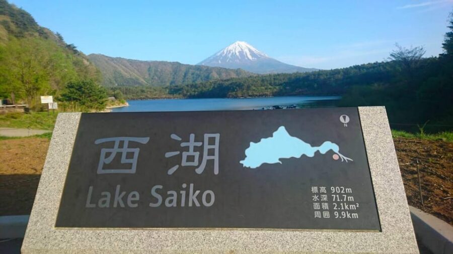 Fuji/Hakone Private Tour, English speaking guide, Photograph - Lake Kawaguchiko: boats, flowers, and that mirror effect