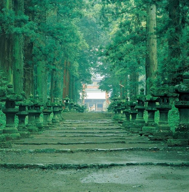 Fuji/Hakone Private Tour, English speaking guide, Photograph - Kitaguchi-hongu Fuji Sengen Shrine: cedar trees and spiritual quiet