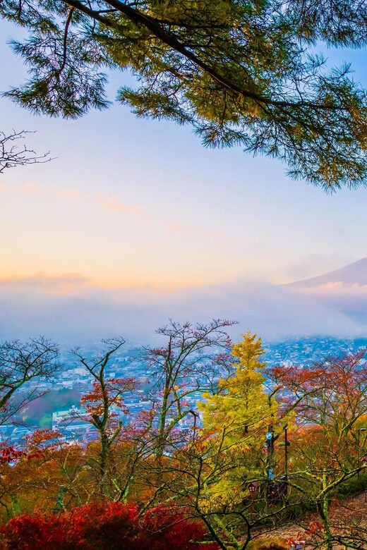 Fuji/Hakone Private Tour, English speaking guide, Photograph - Oshino Hakkai: ponds, thatched roofs, and Fuji reflections