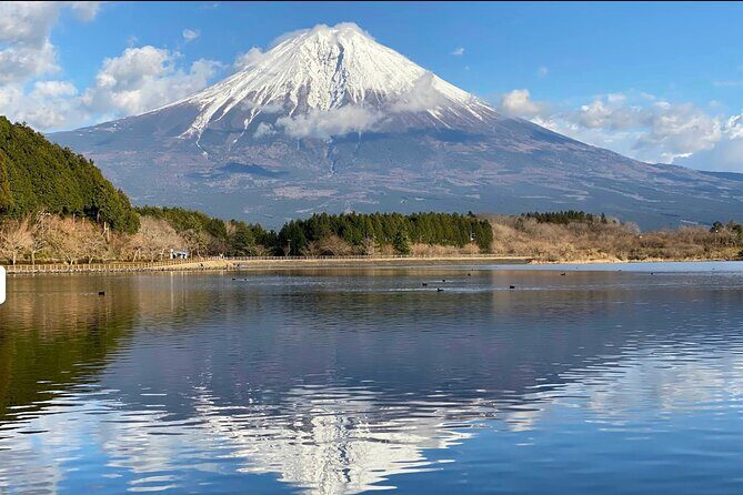 Fuji Highlights Group Car Tour by Shimizu Port with Local Guide - A Cruise-Port Day Built for Mt. Fuji From Shimizu