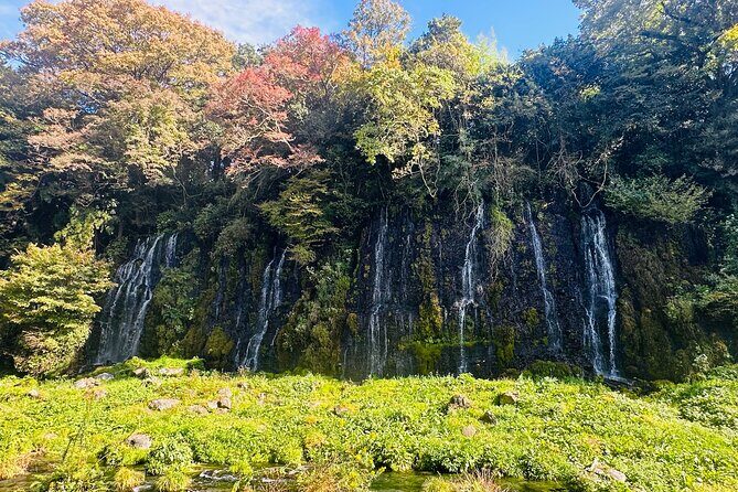 Fuji Highlights Group Car Tour by Shimizu Port with Local Guide - Stop 5: Fujinomiya Omiya Area and Fujisan Hongu Sengen Taisha Shrine