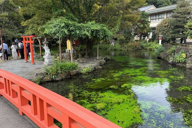Fuji Highlights Group Car Tour by Shimizu Port with Local Guide - Stop 2: Shiraito Falls, the Main Event Water Moment