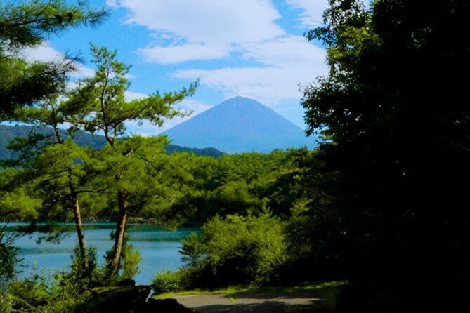 Fuji Photo Tour - Price and logistics: what $423.49 per group buys you