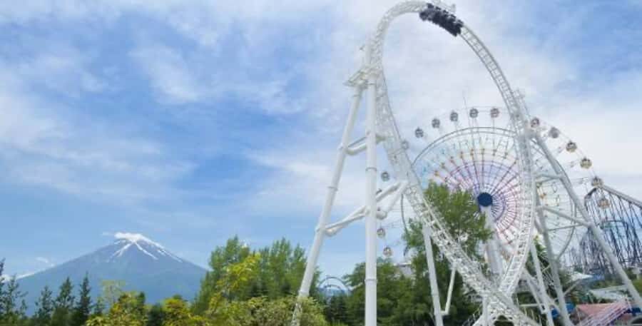 Fuji-Q Highland Amusement Park: 1 Day private tour by Car - Who this tour is best for