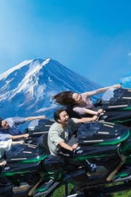 Fuji-Q Highland Amusement Park: 1 Day private tour by Car - Driver experience: what to expect from the service