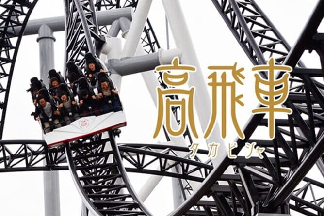 Fuji-Q Highland Amusement Park Private Tour with English Driver - Who This Tour Fits Best