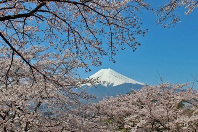 Fuji Speedway Self Drive & Mt. Fuji Private Tour pickup & dropoff - Optional GR86, Yaris, or Supra self-drive: the fee that changes the whole day