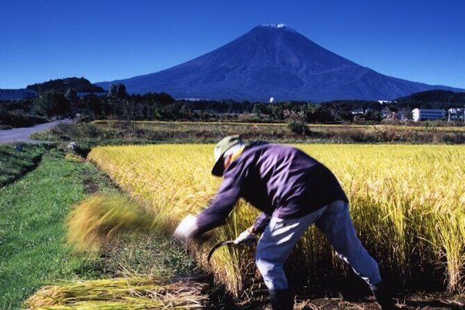 Fuji Speedway Self Drive & Mt. Fuji Private Tour pickup & dropoff - Guides, pickup, and how the private format saves your day