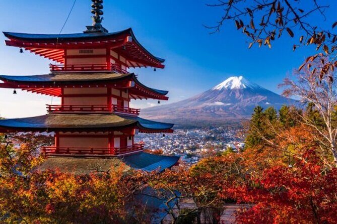 Fuji Speedway Self Drive & Mt. Fuji Private Tour pickup & dropoff - Price and value: what $292.64 buys (and what costs extra)