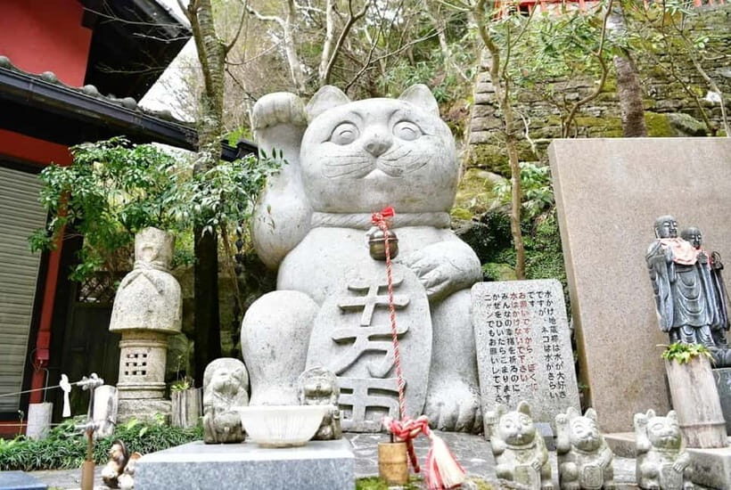 Fukuoka Cultural Walk: Castle, Shrines, Temples & Tales - Key things I’d pay attention to