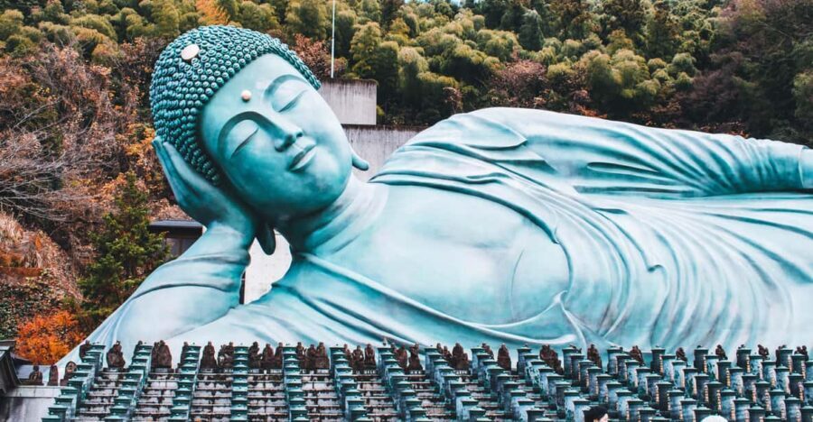 Fukuoka: Customized Tour with Local Guide - A Customized Fukuoka Tour That Actually Matches Your Day