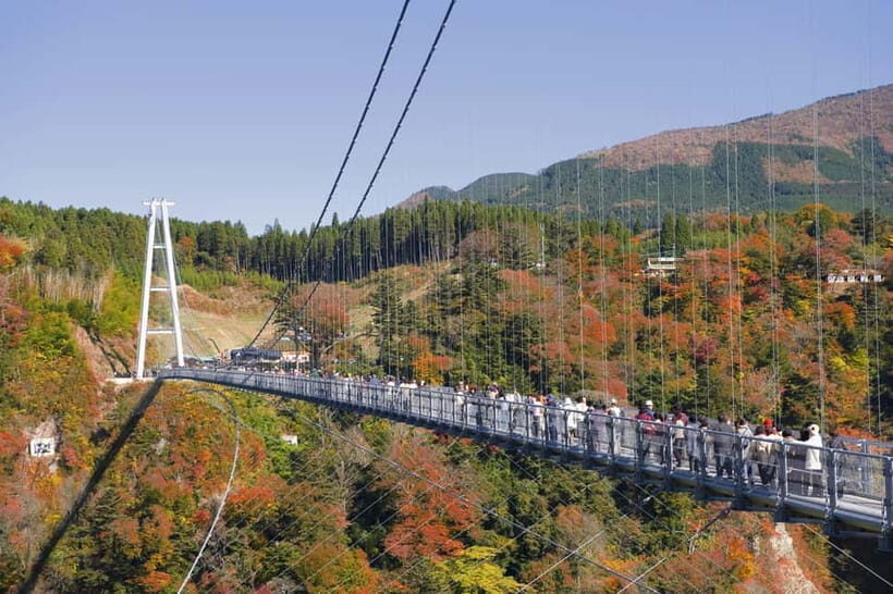 Fukuoka: Kumamoto Cherry Blossom Spring Edition Day Tour - Key Points I’d Plan Around
