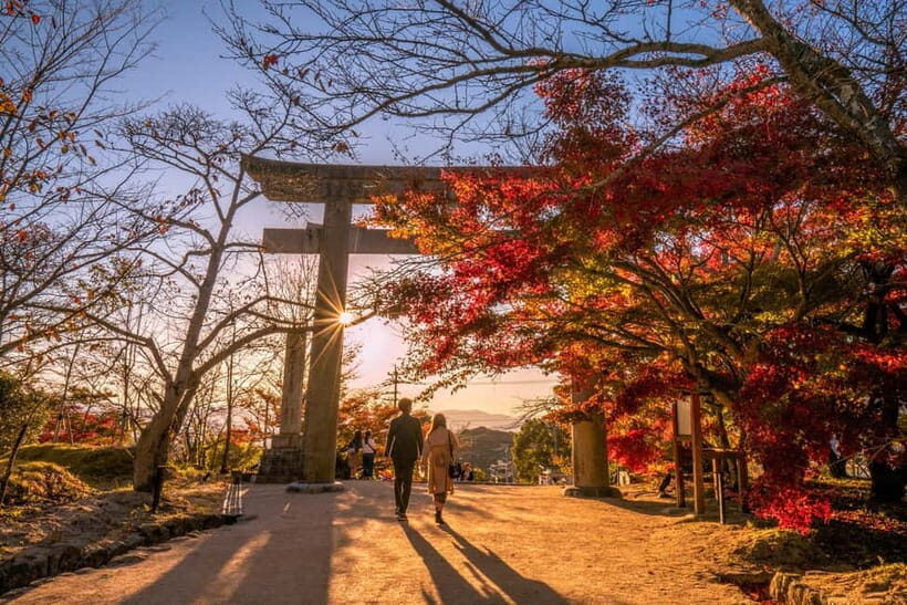 Fukuoka: Kumamoto Cherry Blossom Spring Edition Day Tour - Kikuchi Park: Where You Walk Through the Blossoms