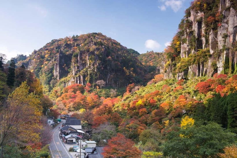 Fukuoka: Kumamoto Cherry Blossom Spring Edition Day Tour - Pickup, Coach Time, and How to Beat the “Long Day” Feeling