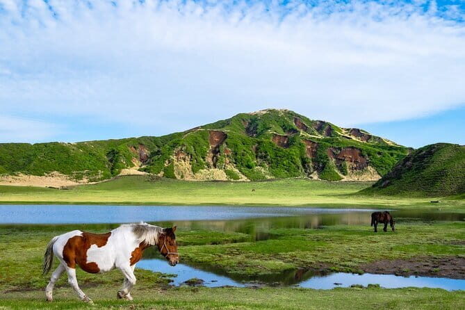 Fukuoka: Mount Aso Volcano, Kumamoto Castle, Grasslands Day Tour - Kusasenri grasslands: the wide-open pause after the volcano rush