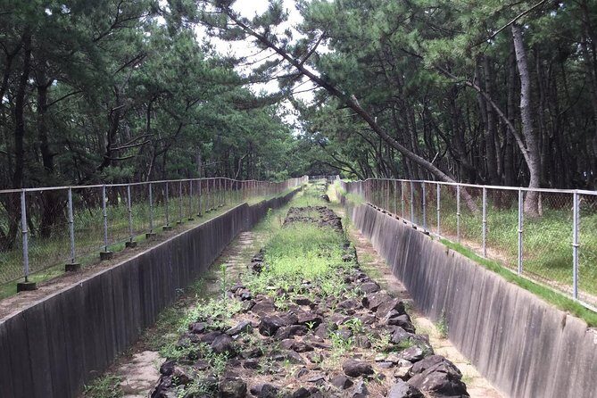 Fukuoka Nature and Cultural Sightseeing Tour - Nanzoin Temple: A Countryside Change of Pace