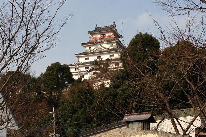 Fukuoka Nature and Cultural Sightseeing Tour - Costco Wholesale Hisayama Warehouse: A Practical Detour That Can Save Money