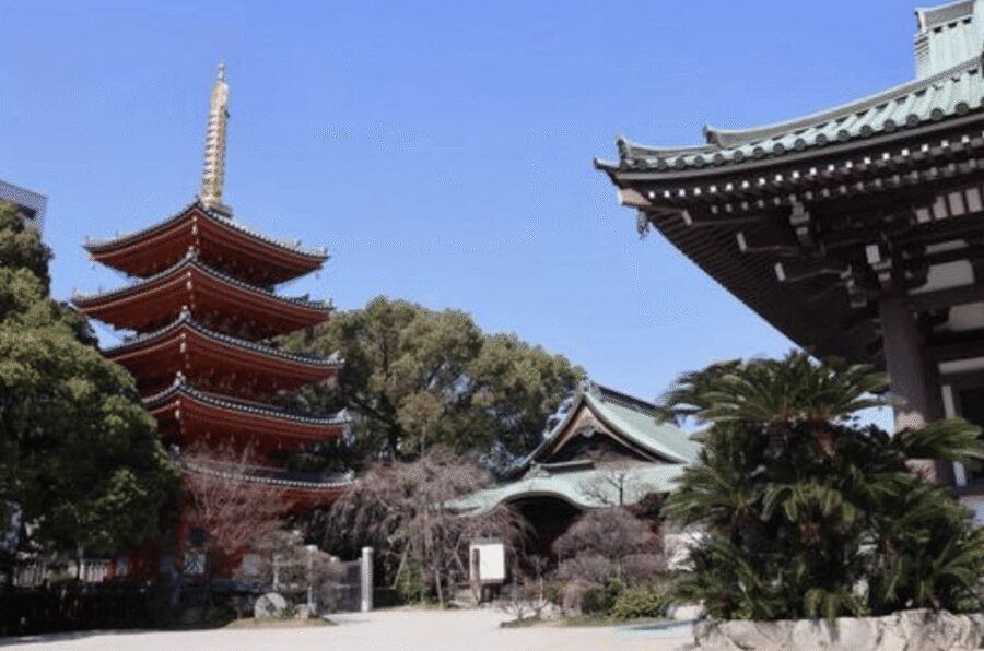 Fukuoka Private Custom Tour with Local Guide - Fukuoka Tower: Your Fast Orientation Over Hakata Bay