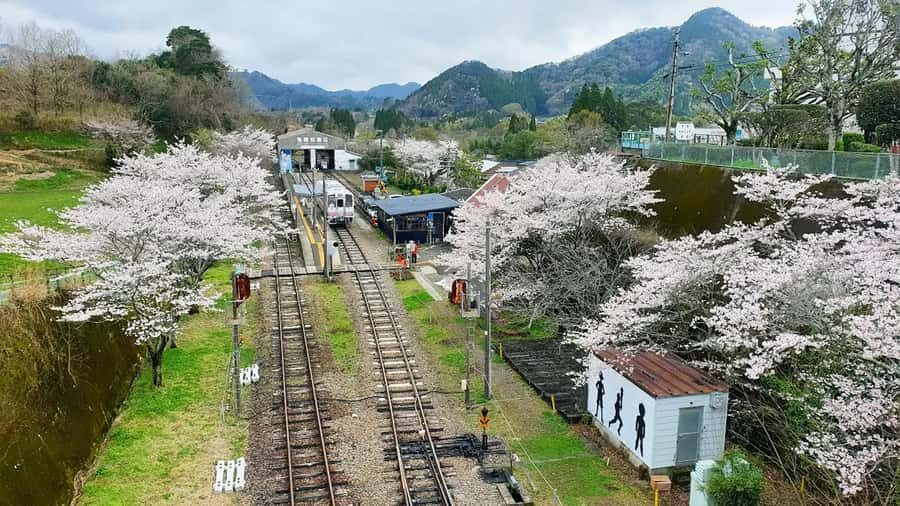 Fukuoka: Takachiho Gorge & Scenic Railway One Day Tour - Amano Yasugawara Shrine: stone wishes with real ritual weight