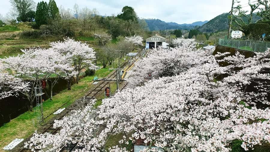 Fukuoka: Takachiho Gorge & Scenic Railway One Day Tour - What you pay for: the real value of this $44 tour