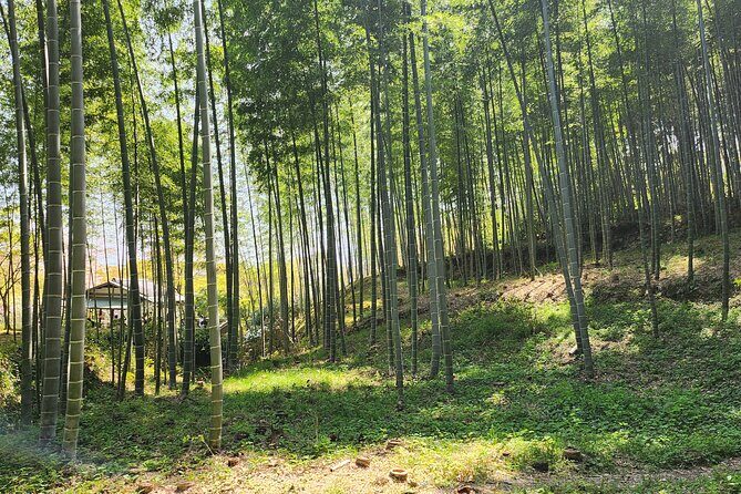 Full Day Guided Tour to Kyoto Arashiyama from Osaka by Van - Arashiyama town break: lunch time plus real browsing