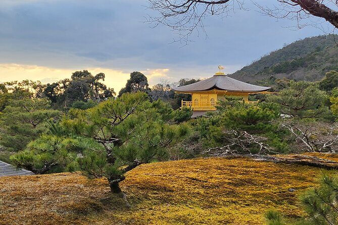 Full Day Guided Tour to Kyoto Arashiyama from Osaka by Van - Ninna-ji Temple: the gates and palace layout help it click
