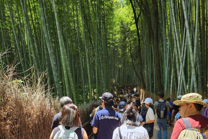 Full Day Guided Tour to Kyoto Arashiyama from Osaka by Van - Kinkaku-ji Golden Pavilion: the icon, paced for photos