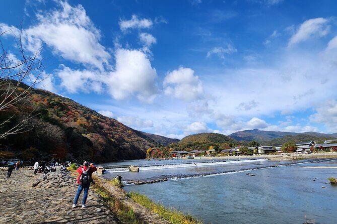 Full Day Guided Tour to Kyoto Arashiyama from Osaka by Van - Price and value: $114 buys structure, van comfort, and tickets