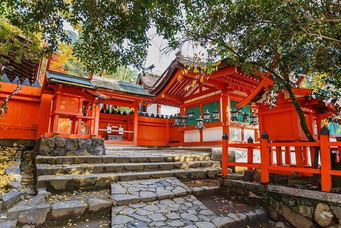 Full Day Guided Tour to Nara from Osaka by Van - Key things that make this Nara tour worth it
