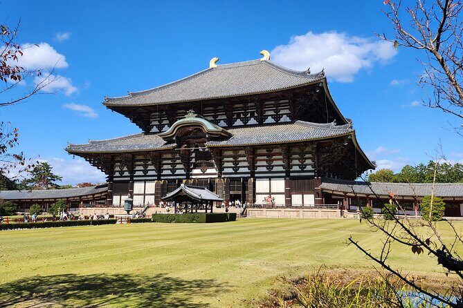 Full Day Guided Tour to Nara from Osaka by Van - Todaiji Temple and the Great Buddha Hall: UNESCO on a human scale