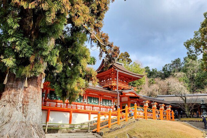Full Day Guided Tour to Nara from Osaka by Van - Todai-ji’s Nandaimon gate: the size-first moment