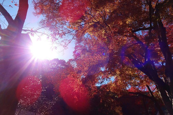 Full Day Hiking Tour at Mt.Takao including Hot Spring - Why Mt. Takao Is Such a Smart Tokyo Escape