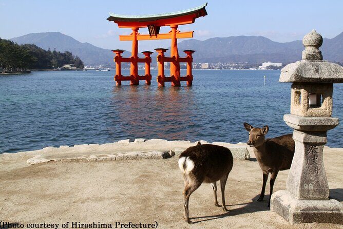 Full Day Hiroshima and Miyajima Tour by Bullet Train from Kyoto - Kyoto’s morning start: Avanti meet point and bullet-train momentum