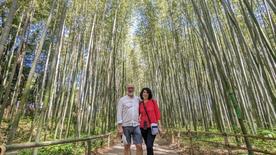 Full-Day Kyoto Walking Tour: Most Iconic Landmarks & Monkeys - Meeting at Kitsunezo: Start Smart, Not Rushed