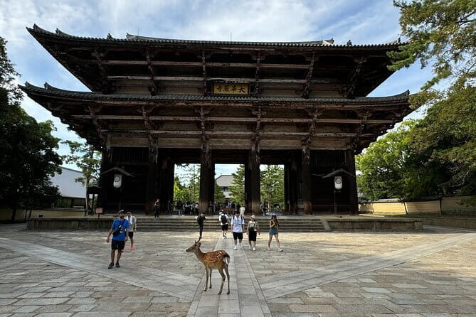 Full Day Nara Deer, Temple, Shrine, Activities & Tea Ceremony - Shofukutei tea ceremony: matcha and wagashi served right in front of you