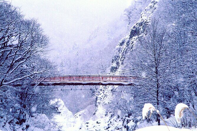 Full Day Private Skiing / Snowboarding Tour in Sapporo - Price and what you get for your money