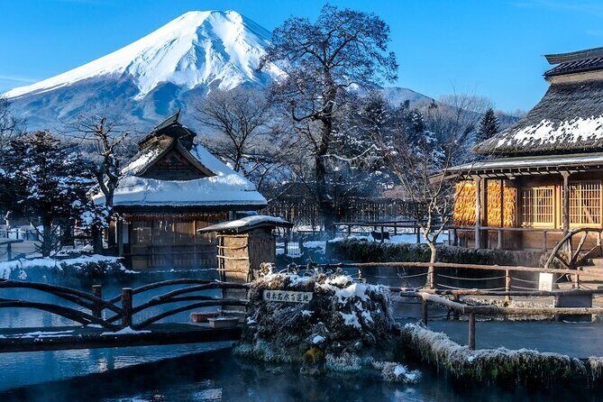 Full Day Private Tour in Mt. Fuji and Hakone - Key things I’d focus on before you book