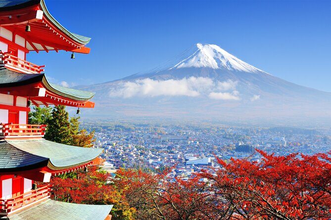 Full Day Private Tour in Mt. Fuji and Hakone - Saiko Iyashi no Sato Nenba: traditional craft village without the museum feel