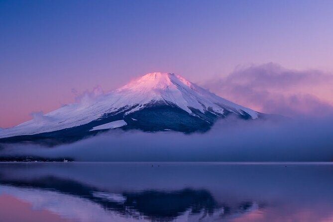 Full Day Private Tour in Mt. Fuji and Hakone - Price and logistics: what $454.63 per group covers